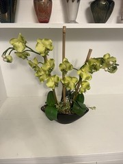 Huge Orchid Flower Display 17in Green Artificial Silk Flowers in Black Pot Faux