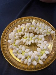 16” 1 Mulam Mallipoo Natural Looking Handmade Jasmine Buds Gajra G2