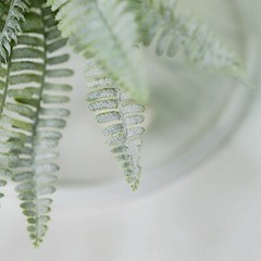 2 FROSTED GREEN 18″ Faux Boston Fern ARTIFICIAL LEAVES Greenery Stems Party Home