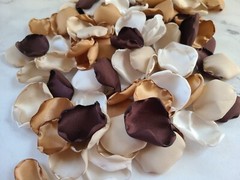 100 Rose Petals Boho Neutral Beige Flower Petals Western Fall Wedding Decor I Do