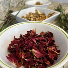Rose Petals Red Burgundy 4 oz Sun Dried Organic Sweetheart Roses USA