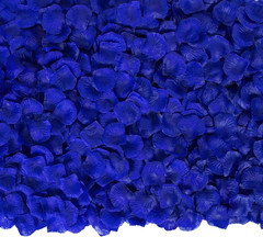 3200 Pcs Artificial Rose Petals for Romantic Night, Fake Rose Flower Petals f…