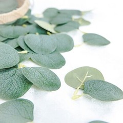 200 Frosted Green Artificial Eucalyptus GREENERY LEAVES Party Events Decorations