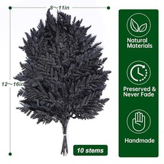 Black Dried Boston Ferns – 10 PCS – 15” Real – Dried Black