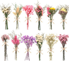 10/12/24/36 Pack Mini Dried Flowers for Vase Wedding Various Mini Bouquet Dried