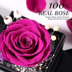 FIACO Gifts for Women Preserved Real Roses 3.43 x 3.74 x 4.13 inches, Purple