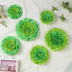 24 pack 7″ 9″ 11″ Mint and Tea Green Tissue Paper Carnation Flowers Backdrop