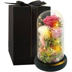 Preserved Pink Rose in Glass Dome with LED Lights – Forever