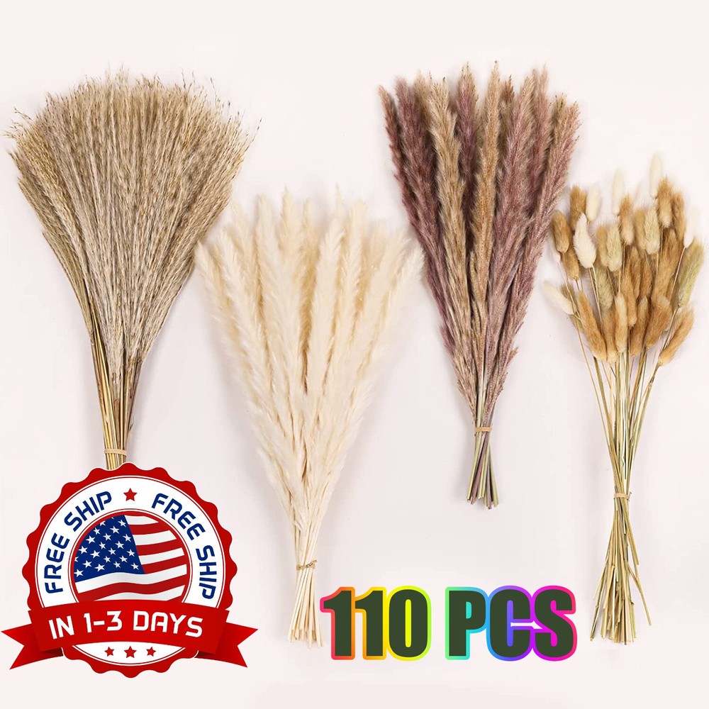 Hierba de pampa 110PCS Flores secas Hierba de caña Hierba de cola de conejo NEW