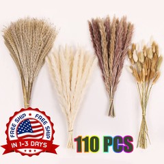 Hierba de pampa 110PCS Flores secas Hierba de caña Hierba de cola de conejo NEW