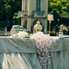 BLUSH 44″ tall Silk Wisteria Flowers Hanging Vine Bush Wedding Centerpieces