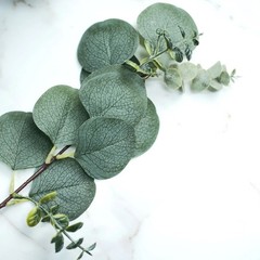 14 Green 12″ Artificial Eucalyptus LEAVES SPRAYS Stems Party Events Decorations