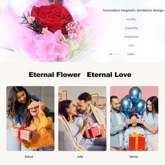 LoveLin Heart Preserved Rose Flowers with Bluetooth 10 inches, White and Pink