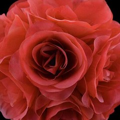 Quasimoon 6″ Roseate/Pink Coral Rose Flower Pomander Small Wedding Kissing Ba…