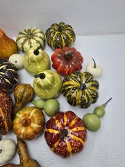 27 Piece Artificial Fall Decor Set- Pumpkins, Squash. High End!! Beautiful!!