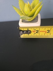 3 Green Assorted Faux Echeveria Succulent Plants White Ceramic Pots Party