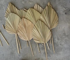 Dried Floral Bundle
