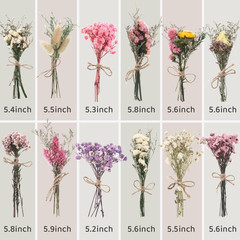 10/12/24/36 Pack Mini Dried Flowers for Vase Wedding Various Mini Bouquet Dried
