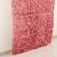 4 Dusty Rose Hydrangea Flowers Mat Wall Backdrop Panels Wedding Party