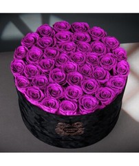 U Forever Roses Purple