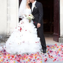 Hariendny 1000 pcs Artificial Rose Petals Fake Petal Flower Decoration for
