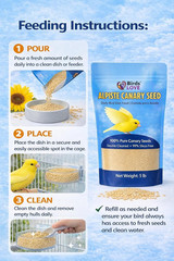 Premium Non-GMO Double Cleaned Canary Seed – 5 lbs for Birds