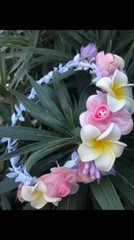 Bali Plumeria Franjapani Wedding Party Crown Flower