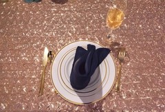 Wedding Rose Gold Sequin Clothes, Three Dimensions in photo. Asking $100 or BO.