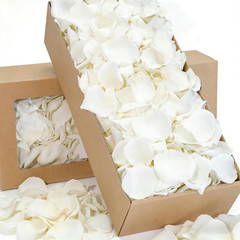 1000+ PCS Real White Rose Petals, 7.76Oz (220G) Preserved White Flower Petal for