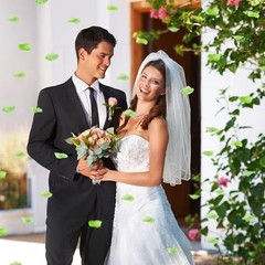 PCS Rose Petals Silk Rose Petals for Romantic Night for Her Set 1500 Green