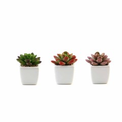 Set of 3 3″ tall Mini Faux Succulent Plants with Off White Ceramic Pots Wedding