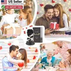 Preserved Black Rose Gift Light Up Eternal Flower In Dome For Mom Wife FROM USA