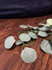CQURE 45 piece Artificial Eucalyptus Garland 7ft Strips