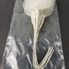 Sheer Nylon Leaf with Pearl 2″ & Wire Stem Wedding Embellishments 36 pieces