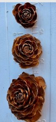 Rose pinecones