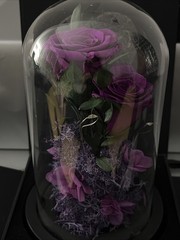 DENIMOMO Flowers Roses Gifts for Women Her,Forever H7.8in W4.7in, Purple Rose