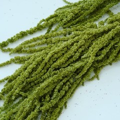 Preserved Amaranthus Olive Green Home Wedding Dried Flower Festive Floral Decor