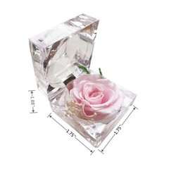DoraMagic Preserved Rose Real Forever in Mini Clear Ring Box, Pink
