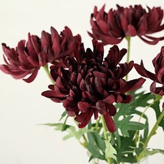 3 Stems 27″ Long Artificial Chrysanthemum SILK FLOWERS Party Events Decorations
