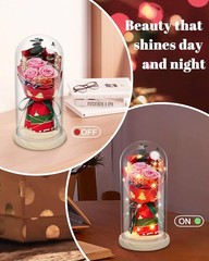 HVY Preserved Flowers in Glass for Her,Pink Real Rose Bouquet with LED Light,Ete