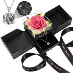 Lebana Preserved Pink Real Rose with Heart I Love You Necklace -Eternal