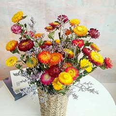 Dried Flowers Bouquet, Dry Caspia Flower Bundle, Floral Lavender, Babys Natural