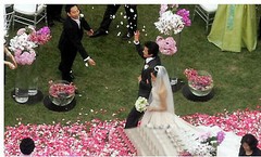 1000 PCS FLOWER ROSE PETALS WEDDING PARTY TABLE DECORATION FLORAL CONFETTI DECOR