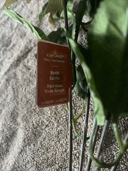 Ashland Red Rose Bush Stick For Bouquets, Brand New, Never Used