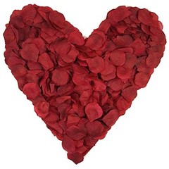 1000 Pieces Artificial Silk Rose Petals Flower Decoration Wedding Burgundy