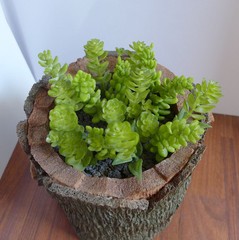 Set of 14 Artificial Succulents Grass Miniature Plants Wedding Decoration