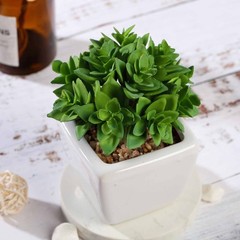 Set of 3 4″ tall Green Faux Crassula Succulent Plants with Off White Pots Sale