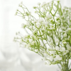 WHITE 3 Bushes 14″ Faux Baby Breath Artificial FLOWERS Party Events Decorations