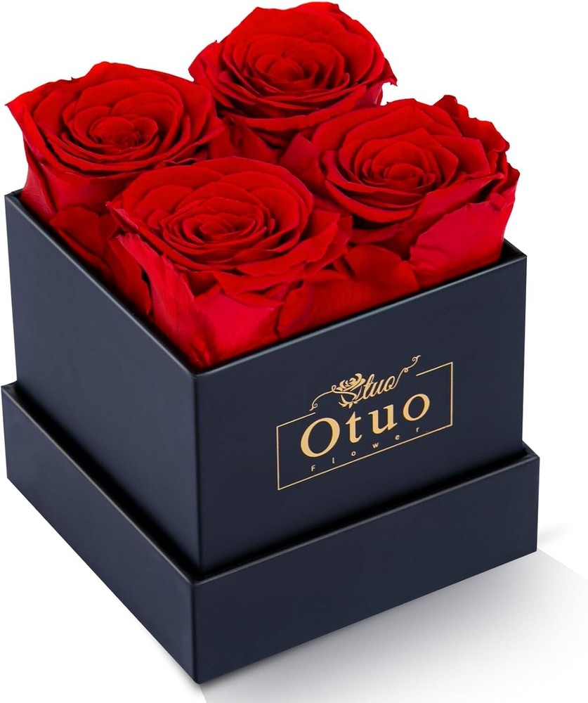 Preserved Roses in Gift Box, Real Eternal Rose Flower Gifts for Anniversary -Red