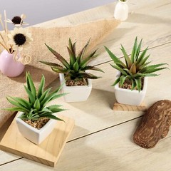 Green 3 Assorted 5″ Faux Realistic Aloe Succulent Plants Off White Pots
